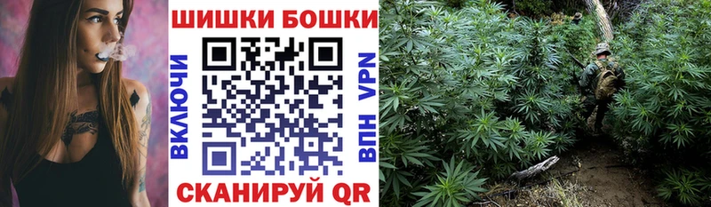 Бошки Шишки конопля Купить где Новоульяновск