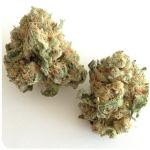 Шишки "White Widow"  (Белая вдова)  Гидропоника -  Бошка VHQ в Новоульяновске